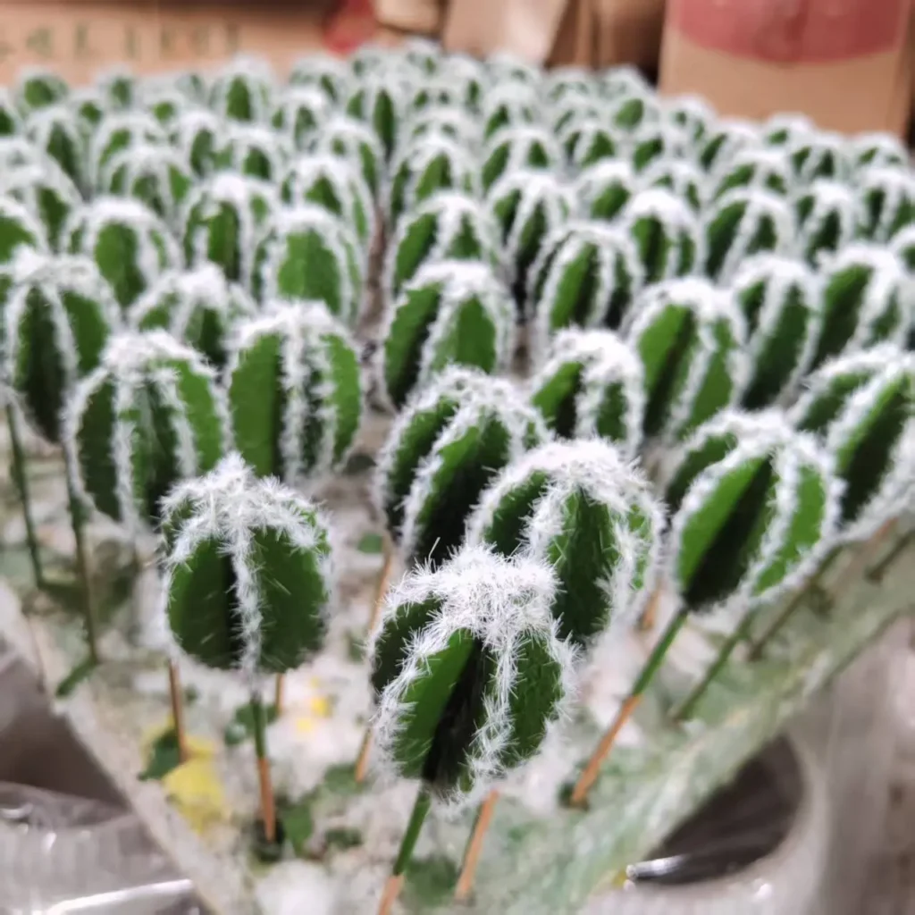 color turnning artificial cactus head